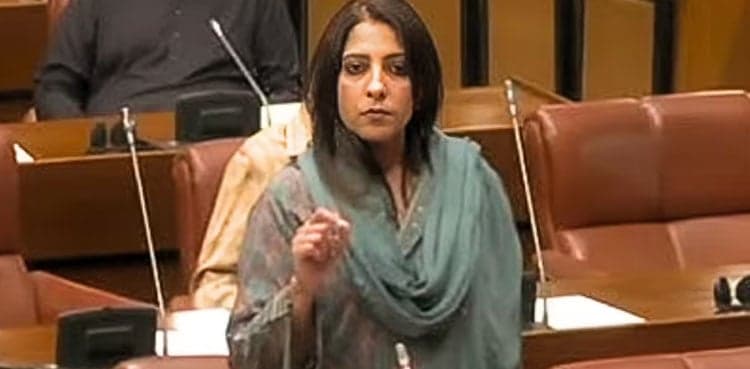 Senator Palwasha Khan approaches NCCIA over organized online smear campaign