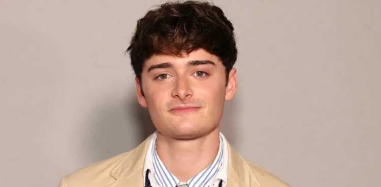 Noah Schnapp’s one-month anniversary post sparks trolls online