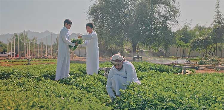 Dubai announces third edition of Hatta Farming Festival