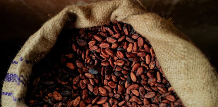 How did Ivory Coast and Ghana's cocoa sales crisis come about?
