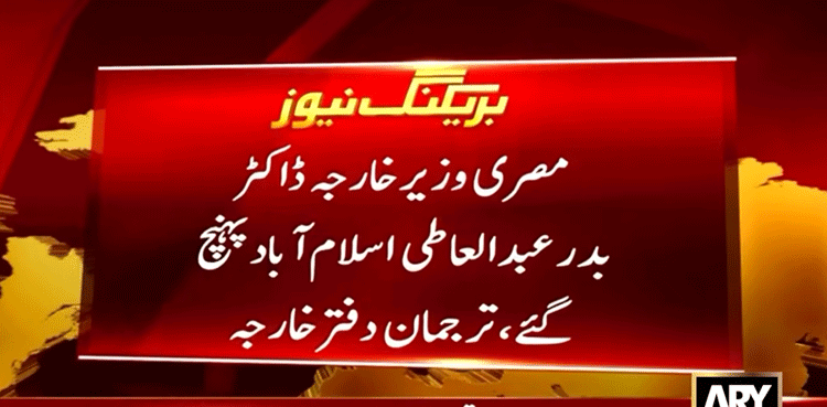 Egyptian FM arrives in Islamabad on official visit