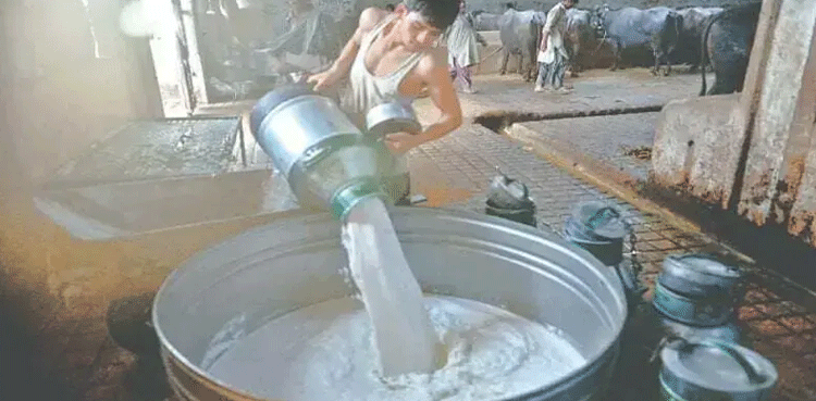Karachi Administration Intensifies Crackdown Against Milk Adulteration