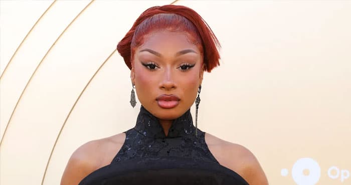 Megan Thee Stallion introduces fans to her adorable ‘new son’