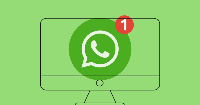 WhatsApp Web users may soon get 50 new desktop theme options