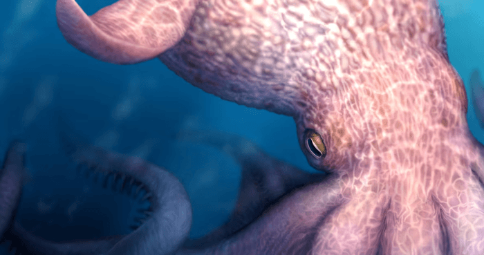 'Cretaceous Kraken' prowled the seas during the age of dinosaurs