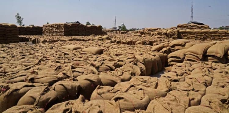 World food price rise set to continue if Iran war lasts, FAO says