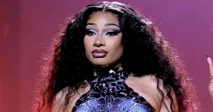 Megan Thee Stallion falls ill during Broadway show
