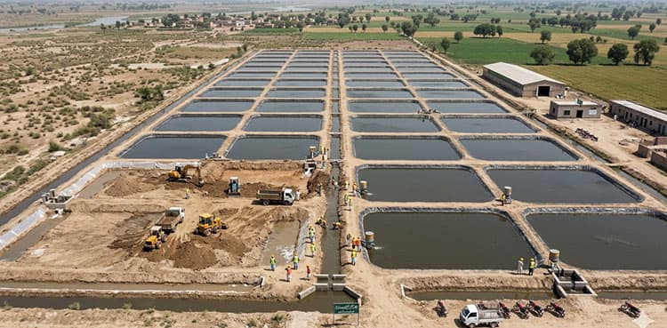 Major progress in Punjab shrimp farming projects under Blue Economy Initiative
