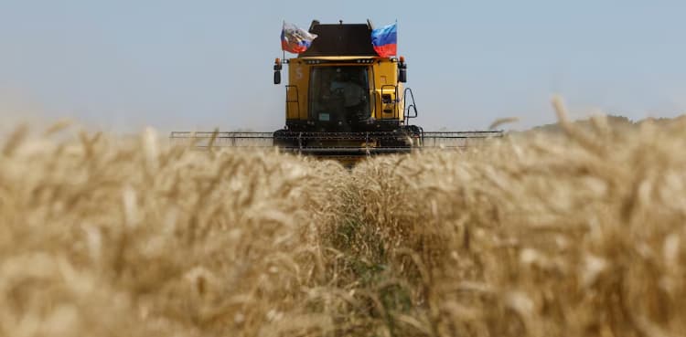 Ukraine in diplomatic tussle with Israel over grain Kyiv says 'stolen' by Russia