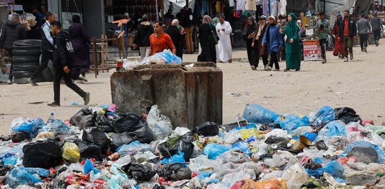 Rats infest Gaza's tent camps, biting children and spreading disease