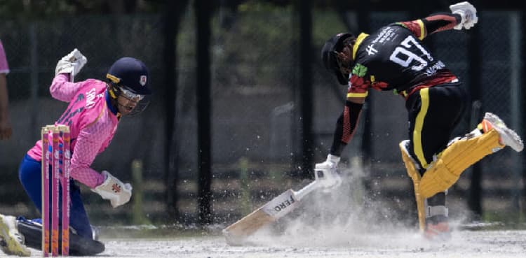 'Don't understand it, but it looks fun': cricket bowls Japan over