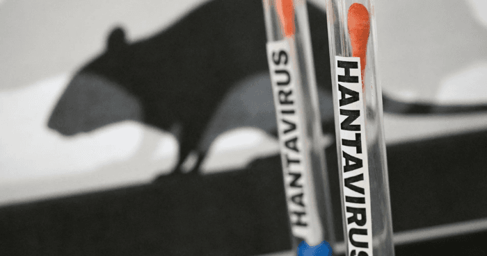 WHO warns of more hantavirus cases in 'limited' outbreak