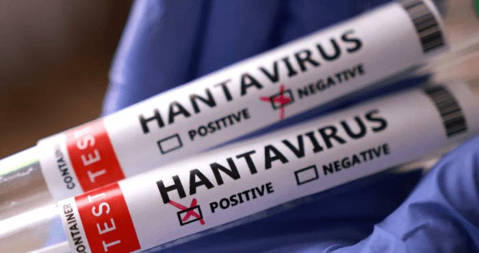 Hantavirus outbreak risk to public 'absolutely low': WHO