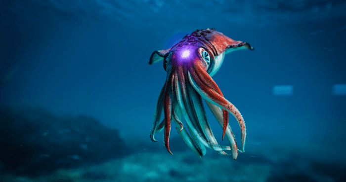 How Subnautica 2 Early Access changes leviathan combat and ocean survival