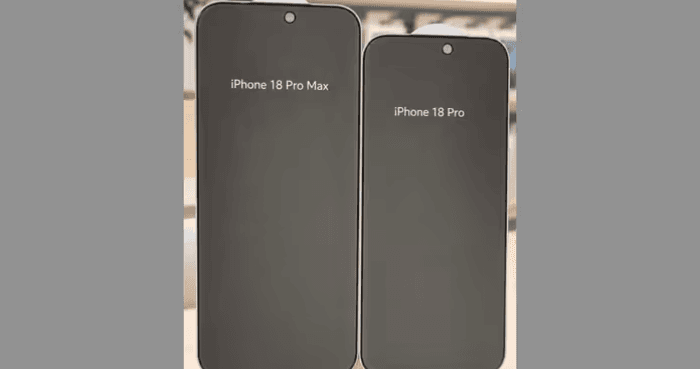 iPhone 18 Pro Max screen protectors reveal taller display layout