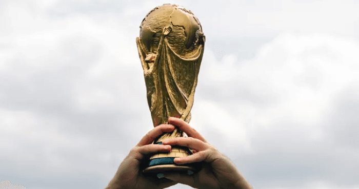 Fake FIFA World Cup 2026 websites prompt FBI warning