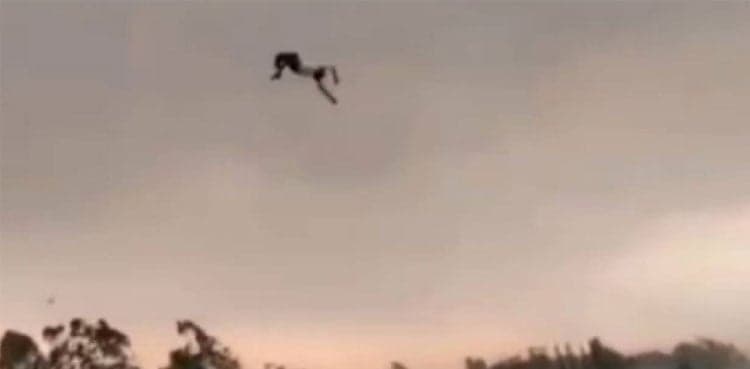 Man Sent Flying as Deadly Storm Hits Bareilly; Video Goes Viral [WATCH]