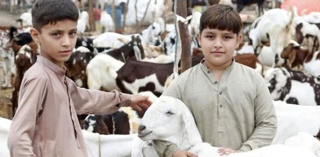 How many leaves will Pakistanis get on this Eid al-Adha ?
