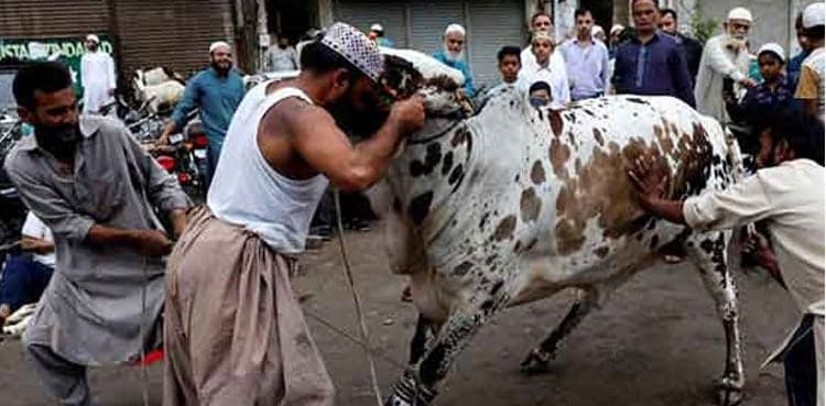 Pakistan celebrates Eid al-Adha with religious spirit and national unity
