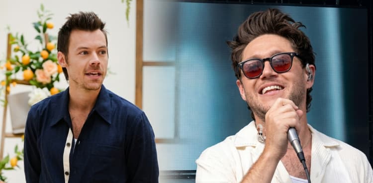 Harry Styles, Niall Horan help fans find love