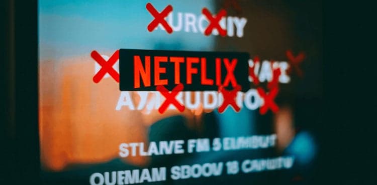 Netflix's 2026 Cancellation Spree: 8 Shows Axed, Including Terminator Zero and Vince Staples Show
