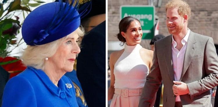 Prince Harry, Meghan Markle blame Camilla for snub