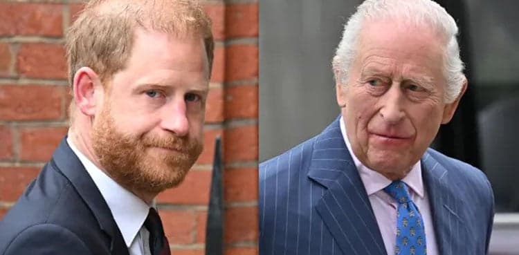 Prince Harry Unveils Clever Plan to Reconnect With King