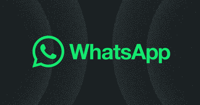 Meta ordered to give rival AI chatbots free WhatsApp access
