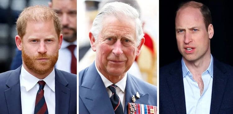 Palace issues major update amid Harry, William reunion claims