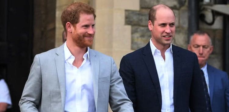 Harry, William reunion terms revealed!