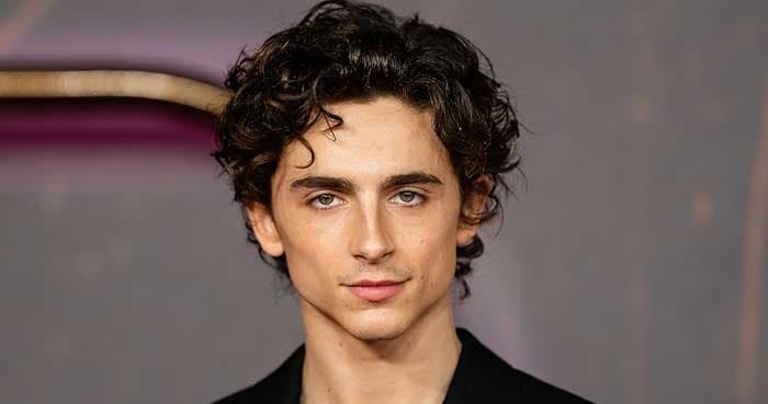 Timothée Chalamet teases next major film project