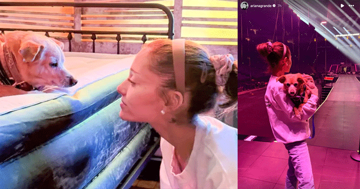 Ariana Grande gushes over her beloved dog Toulouse on his 13th birthday