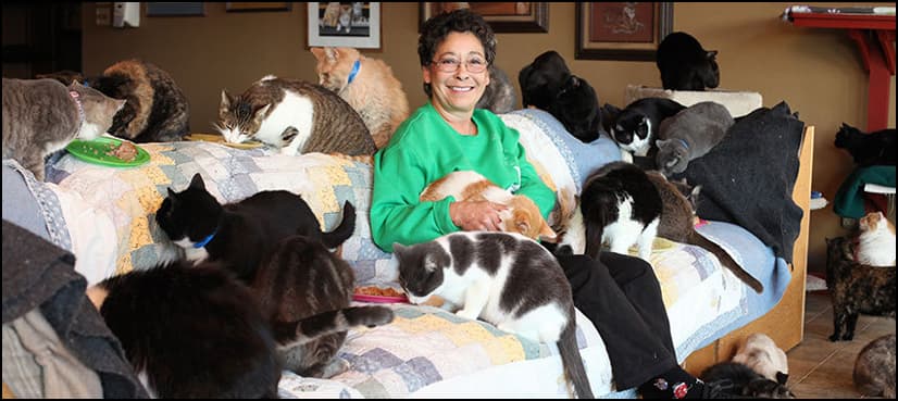 Meet the woman who lives with 1,100 cats at her home