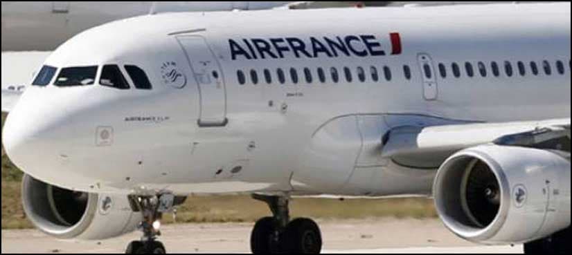 'Mouse' grounds Air France flight