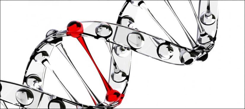 Biggest catalogue of DNA variants yields its secrets