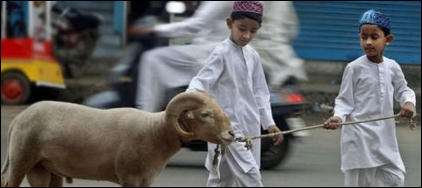 Govt announces Eid-ul-Azha holidays