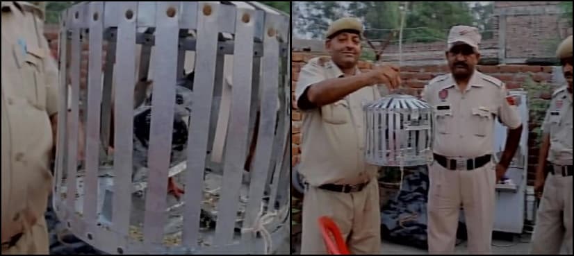 India clips wings of alleged Pakistani 'spy pigeon' to stop it flying back