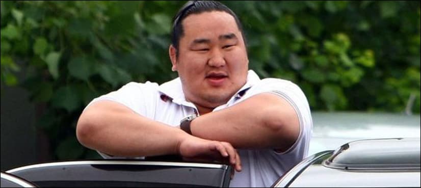 Wait is over: Japan gets first sumo champion in 19 years