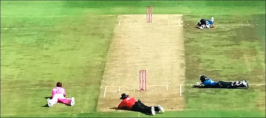 WATCH: Bees attack stadium during match between Sri Lanka, South Africa
