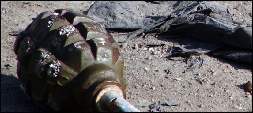 Panic as child brings grenade to class