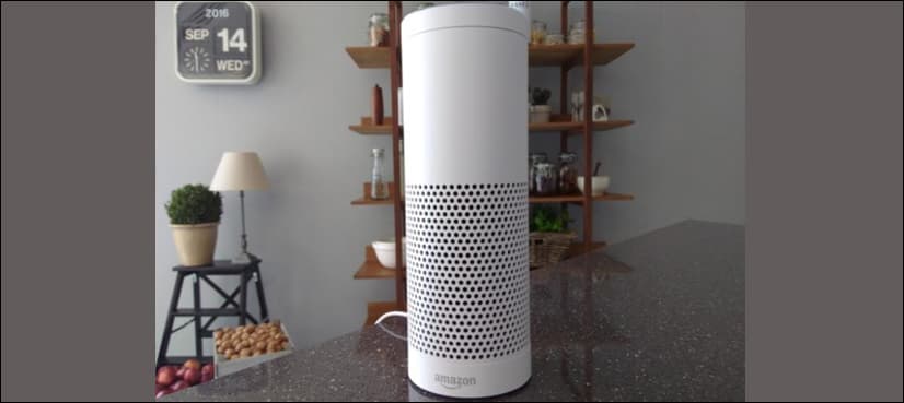 Amazon sweeps US market for voice-controlled speakers: study