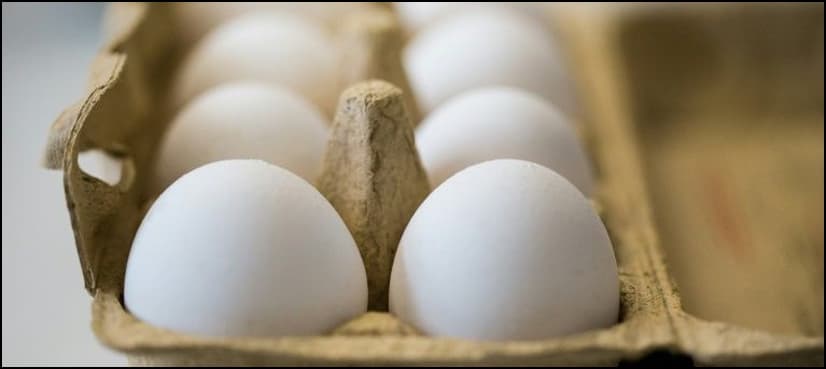 Hong Kong, Switzerland, 15 EU states hit by egg scandal