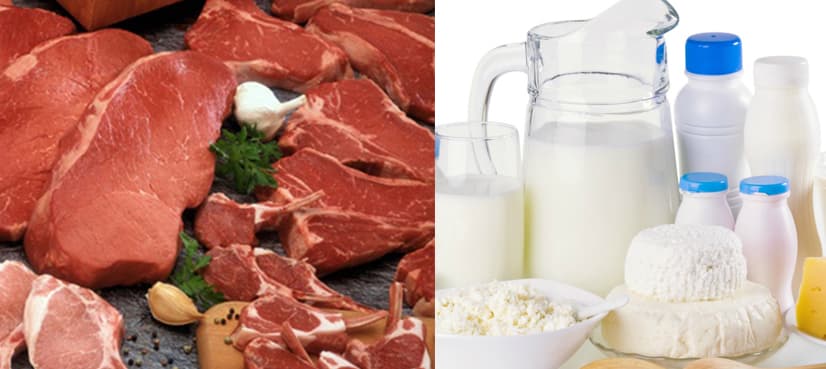Pakistan exploring new markets for export of meat, dairy products