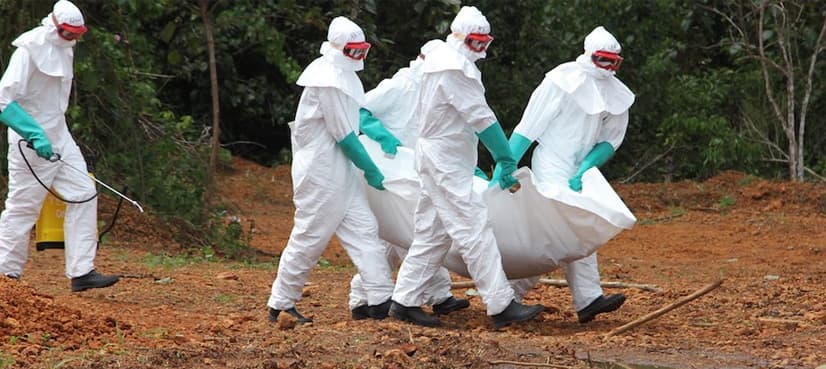Red Cross admits $6-million fraud during Ebola crisis