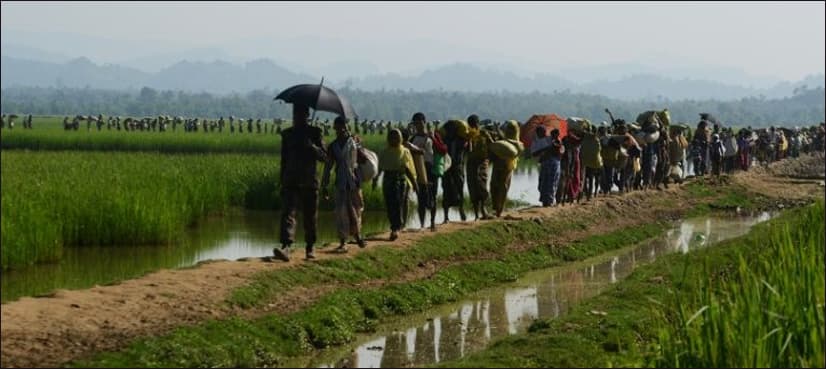 Myanmar must resettle Rohingya in their villages: US official
