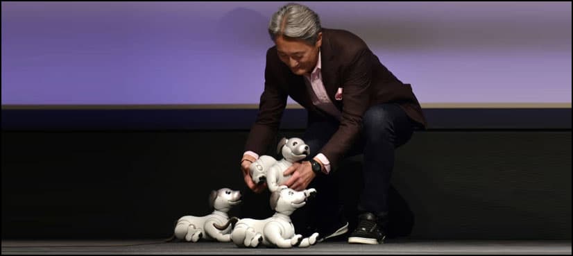 Sony revives robot pet dog