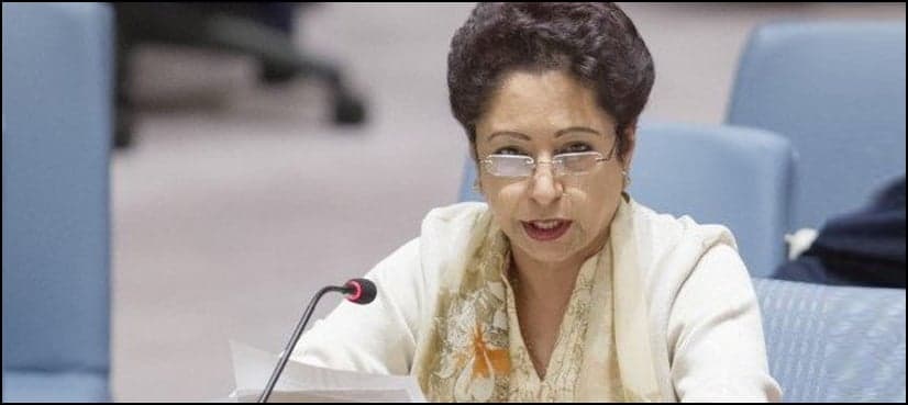 Pakistan to continue support to Kashmiris’ struggle for self determination: Lodhi