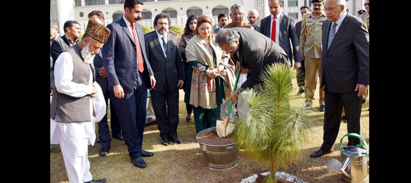 PM Abbasi launches spring tree plantation campaign