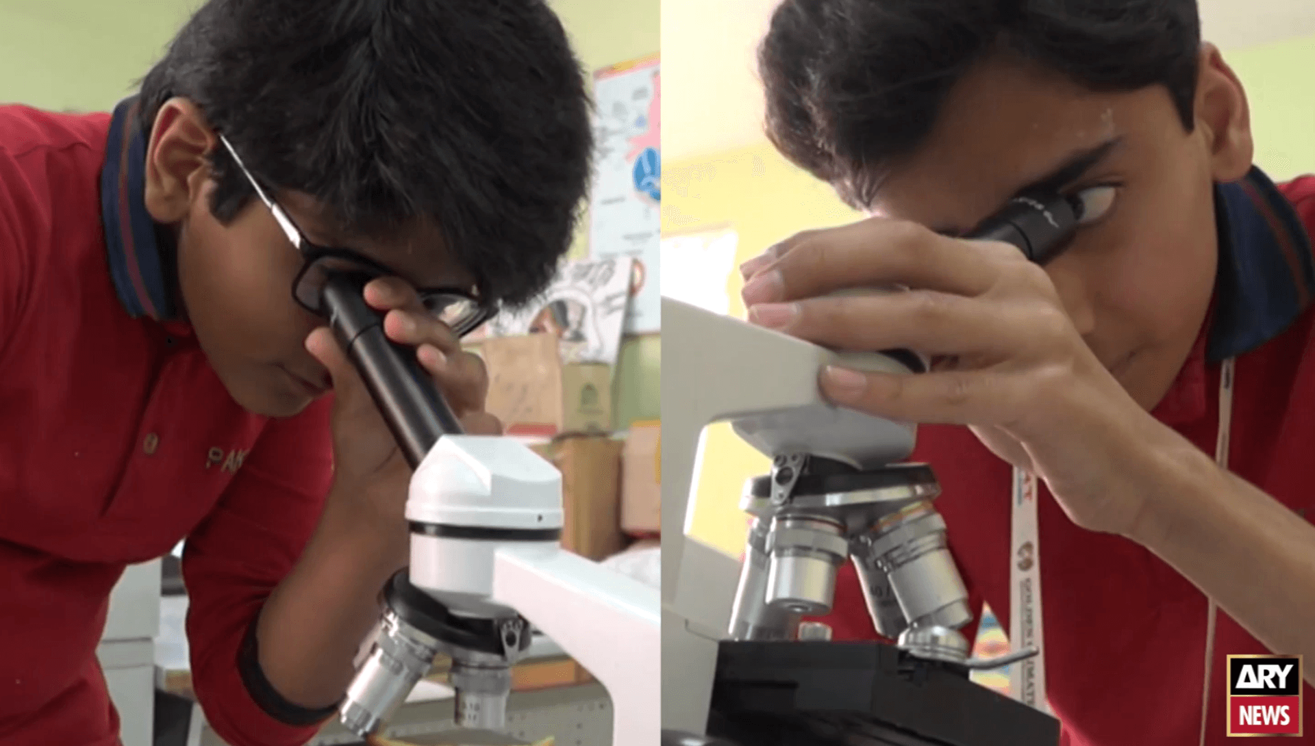Young Pakistan's scientists use natural resources to giving birth crucial inventions