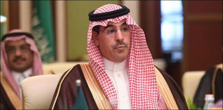 Saudi minister to visit Pakistan after elections